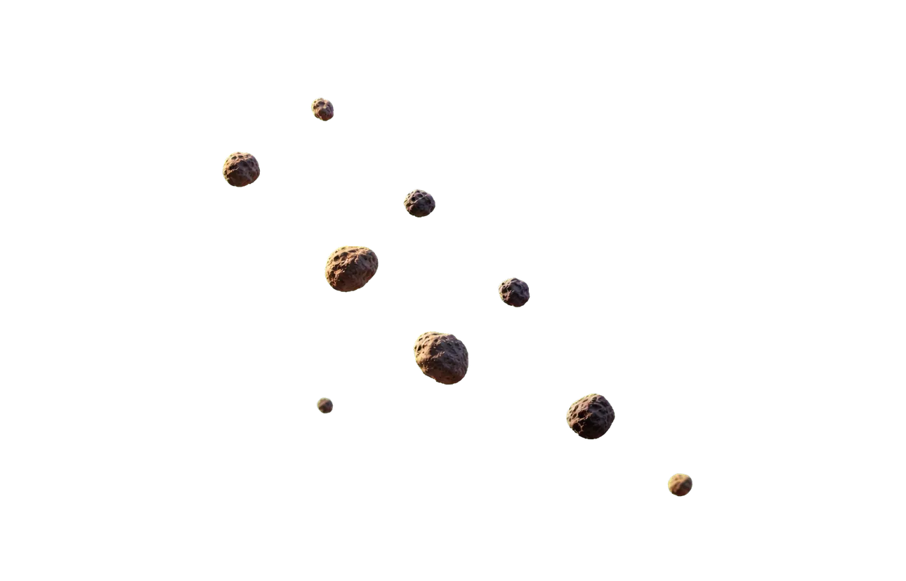 A sparse group of distant asteroids